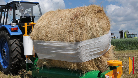 В Воронежской области 49-летний тракторист-машинист погиб от удара током