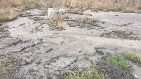 Воронежский сахарный комбинат заплатит почти 1 млн рублей за загрязнение почвы