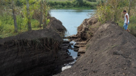 Число экологических преступлений в Воронежской области за год снизилось в 5 раз
