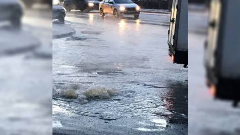 Излив канализации на улице Шишкова в Воронеже пообещали устранить в сжатые сроки