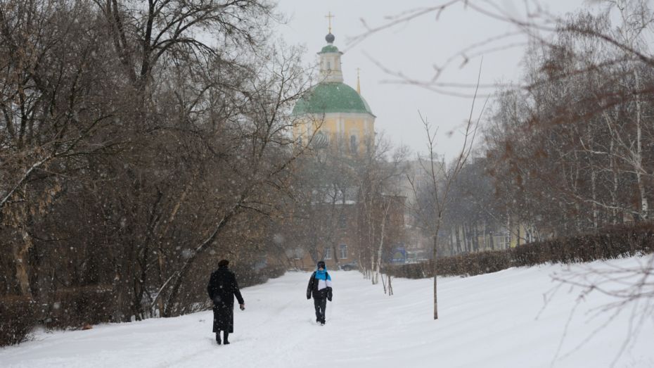 Выходные в Воронеже будут морозными и снежными