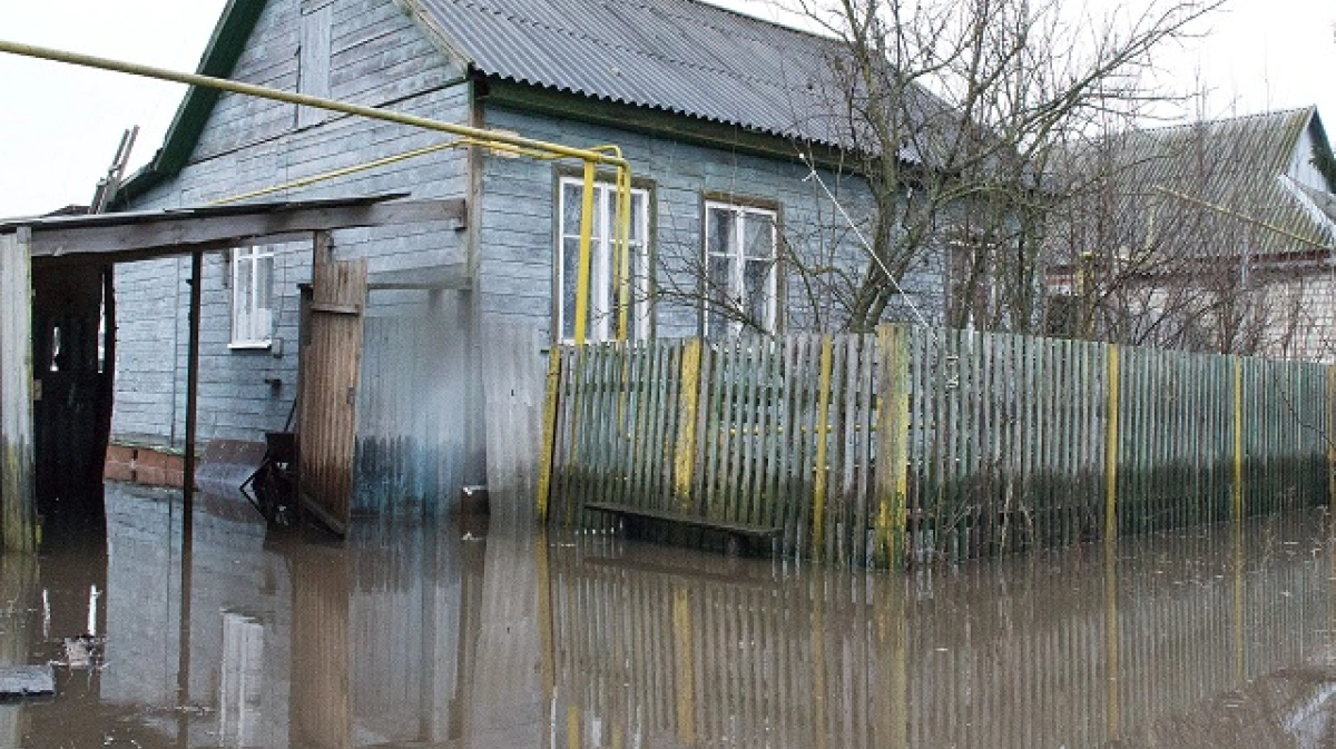 Погода давыдовка воронежская область лискинский. РП Давыдовка Лискинский район. Попасное Лискинский район. Попасное Воронежская область Лискинский район. Магазины Давыдовка Лискинский районный.