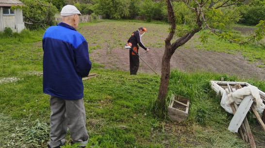 С «Заботой» и «Терпением»: как воронежские волонтеры помогают сельским жителям справляться с трудными ситуациями