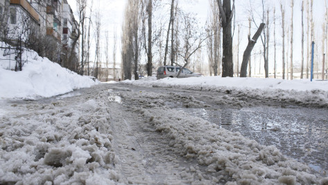 Теплая и снежная погода установится в Воронеже на второй рабочей неделе февраля