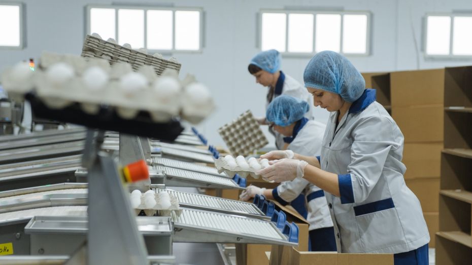 На крупнейшей птицефабрике Воронежской области запустили цех сортировки яиц