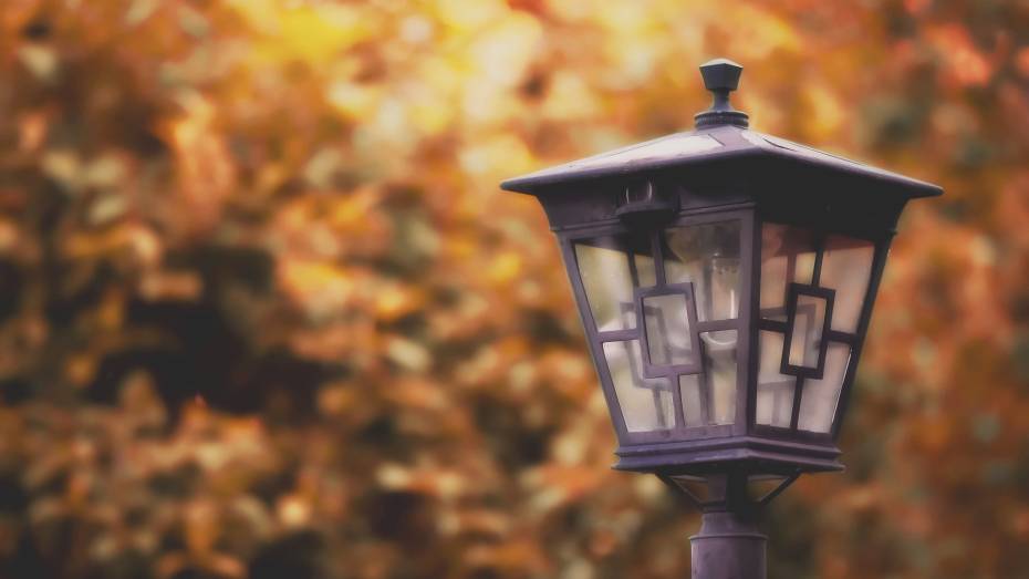 В воронежской Масловке завершат монтаж магистрального освещения