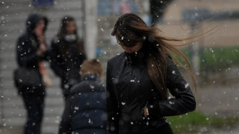 Метеорологи пообещали снег в конце рабочей недели в Воронеже