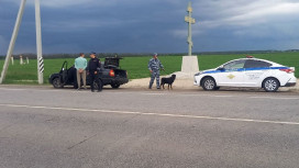 Полиция провела рейд с собаками на дорогах под Воронежем