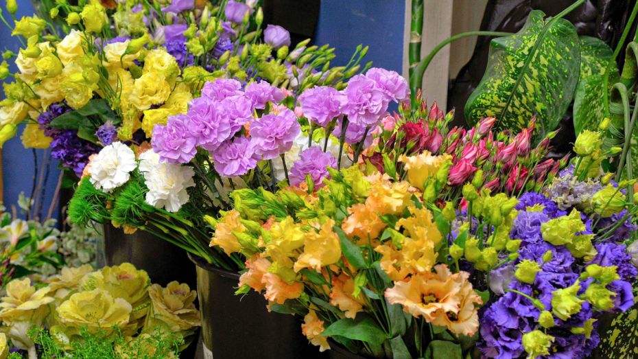 В аэропорту Воронежа уничтожили 500 цветов из Армении