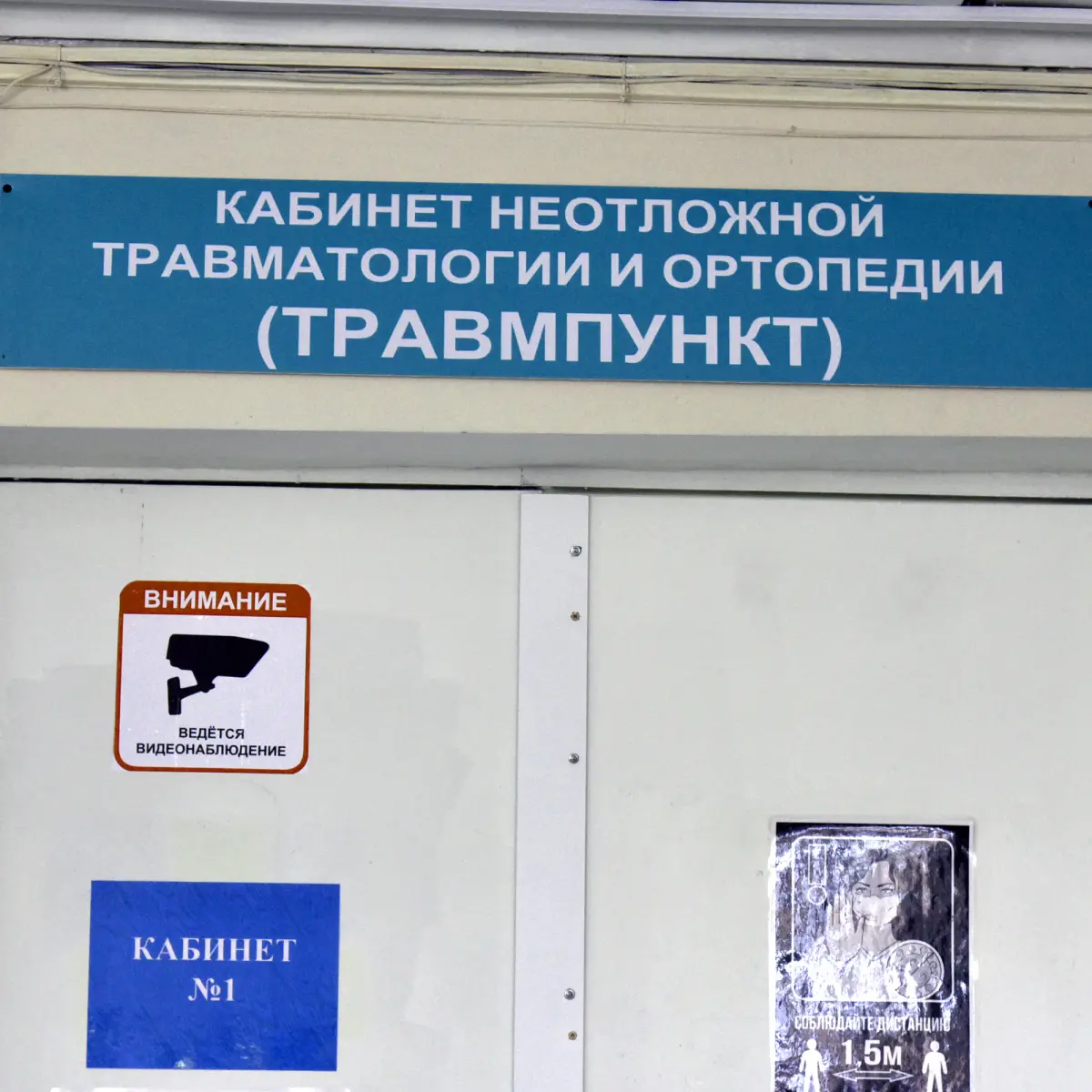 Агрессивные собаки за сутки покусали 2 человек в Центральном районе Воронежа