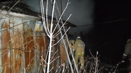 В Воронежской области 60-летний мужчина сгорел в своем доме