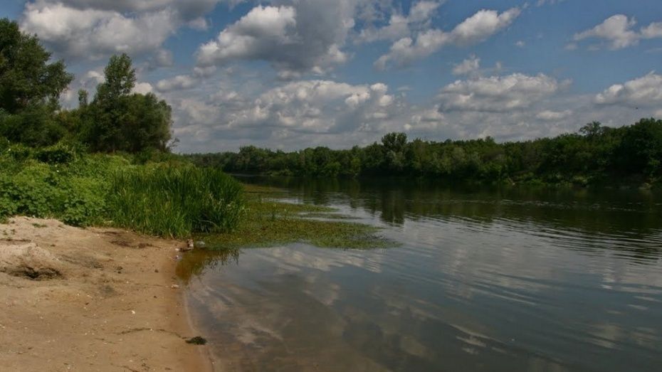 Тело 43-летнего воронежца достали из реки Дон
