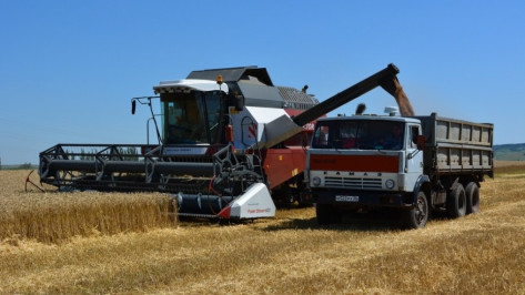 Воронежская область получит 170 млн рублей на обновление парка сельхозтехники в 2018 году