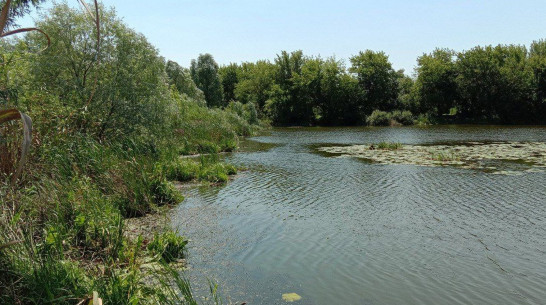 В Воронежской области утвердили береговую линию озера Круглое