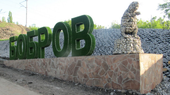 На въезде в Бобров установили объемные буквы с подсветкой и фигуру бобра
