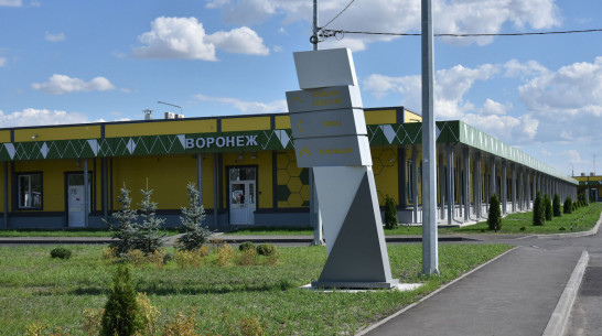 К приему COVID-пациентов подготовили еще более 800 коек в Воронежской области