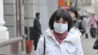 Роспотребнадзор: В Воронеже закончилась эпидемия гриппа