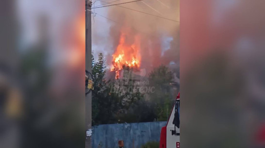 В Воронеже загорелся собачий питомник в переулке Здоровья