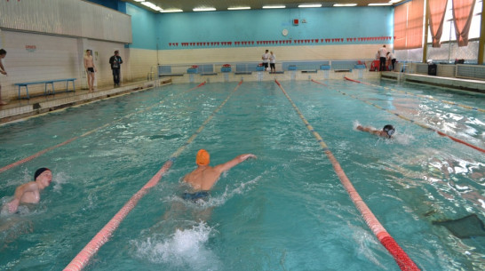Областные соревнования по плаванию пройдут в Рамони