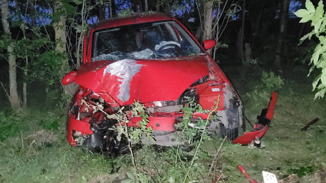 В Воронежской области 3-летний ребенок пострадал в жестком ДТП