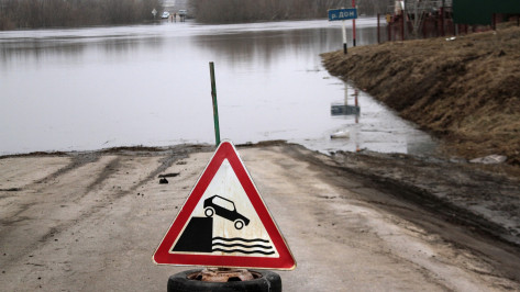 В Воронежской области из-за паводка перекрыли движение по наплавному мосту через Дон