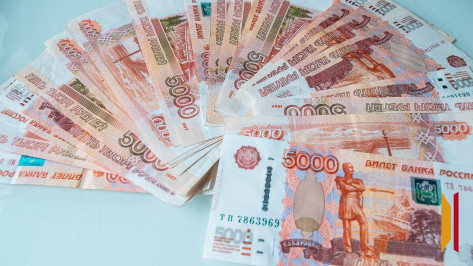 В Воронежской области планируют выделить 10 млрд рублей на проведение торгов с ЭКГ-рейтингом