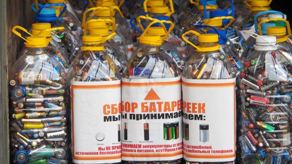 РИА «Воронеж» собрало 580 кг отработанных батареек