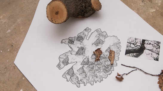 Воронежские художники откроют проект-исследование в Государственном центре современного искусства