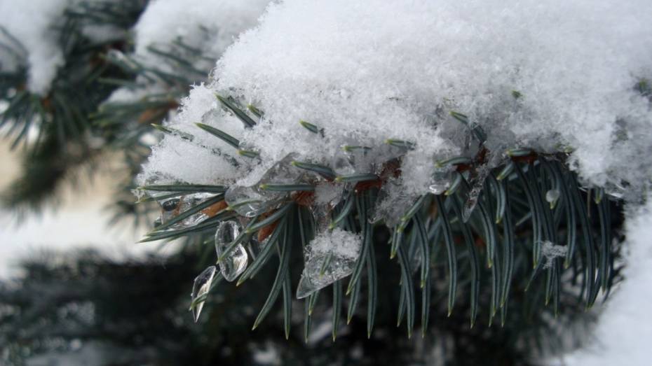 Мороз в Воронеже к концу рабочей недели сменится аномальным теплом
