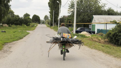 Под колесами легковушки в Воронежской области погиб велосипедист