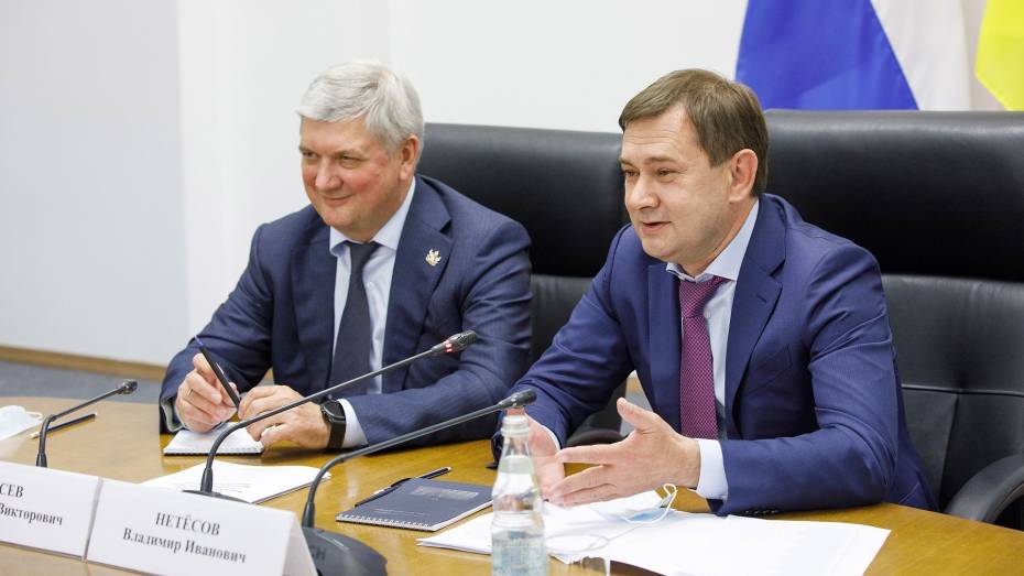 Сотрудничество законодательной и исполнительной власти обсудили в Воронежской облдуме