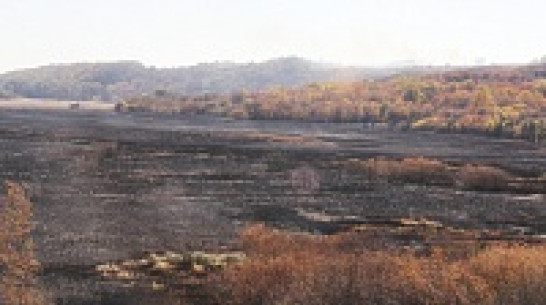 В новохоперском поселке  Ивановка у одного из местных жителей сгорело 105 тюков сена