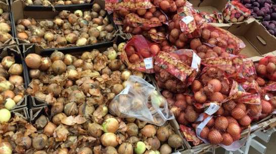 Для воронежских фермеров организуют сельские ярмарки 