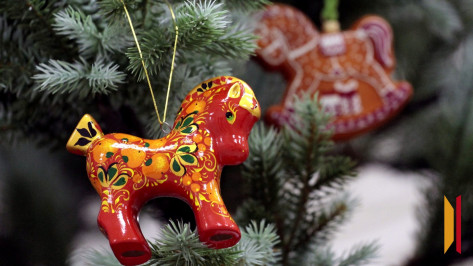 Песней коня не накормишь: воронежцам рассказали о правилах встречи Нового, 2026 года