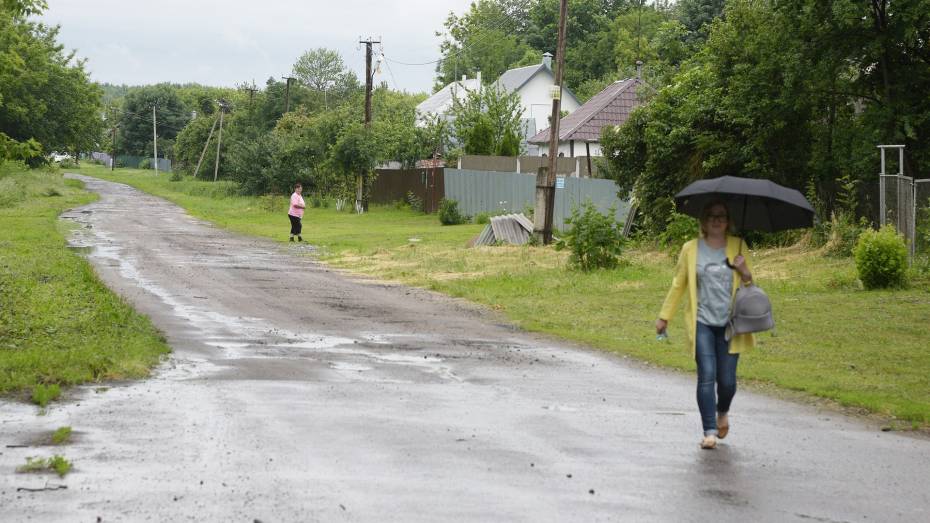 Ливни и грозы снизили пожарную опасность в Воронежской области