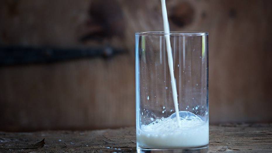 Россельхознадзор ограничил поставки белорусских молочных продуктов в Россию