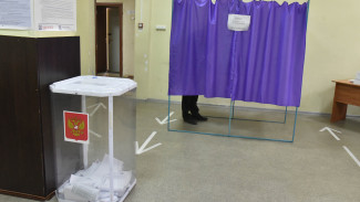 В Воронежской области за два дня проголосовали 35,17% избирателей