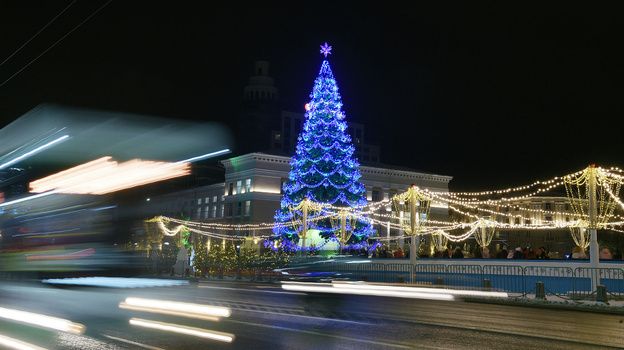 Монтаж новогодней елки и инсталляций на площади Ленина в Воронеже завершат к 25 декабря