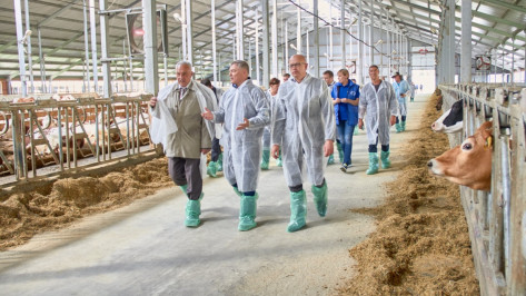 «Молвест» показал израильской делегации молочную ферму в Воронежской области