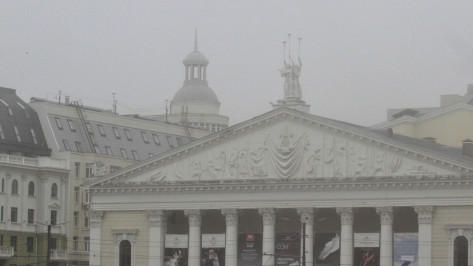 Гололедица и туман ожидаются в Воронежской области