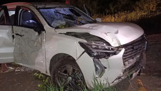 В воронежском селе Андреевка Haval врезался в дерево: пострадала 21-летняя пассажирка