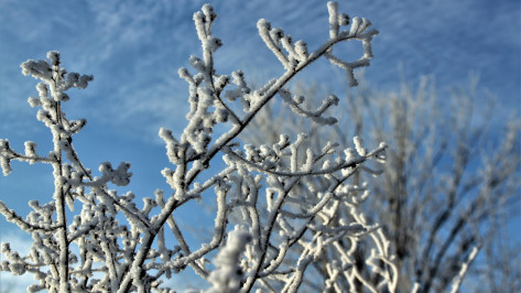 Стало известно, когда в Воронежскую область вернутся 25-градусные морозы