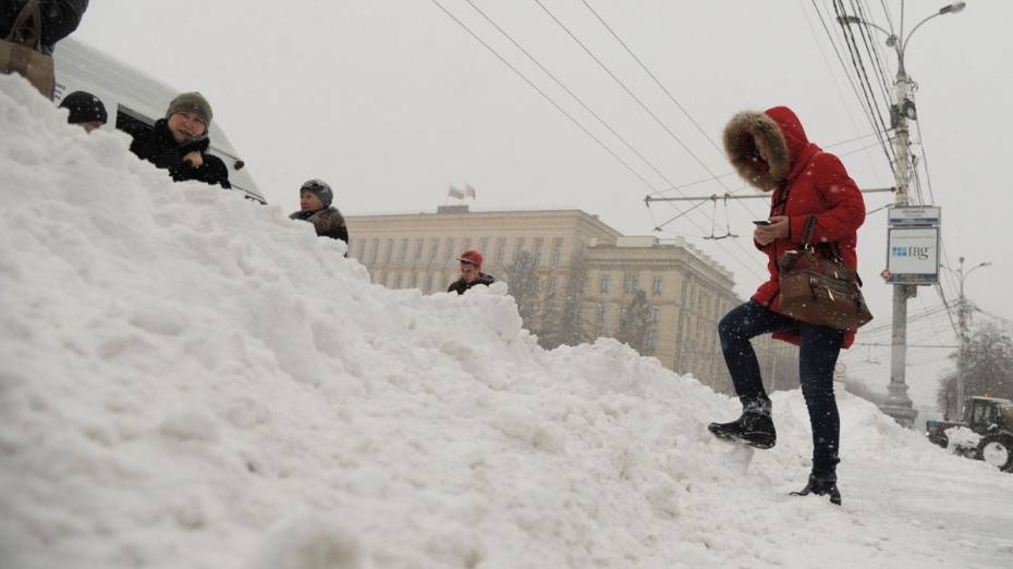 Спасатели предупредили о сильном снегопаде в Воронежской области