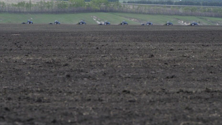 Воронежские аграрии засеют яровыми 1,7 млн га