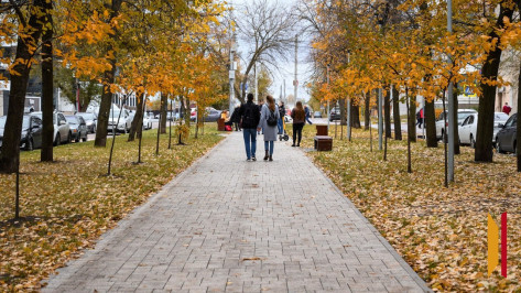 Воронежцам рассказали о погоде на октябрь 2025 года