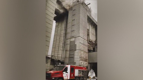 Тушение крупного элеватора под Воронежем сняли на видео