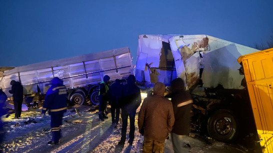 На трассе в Воронежской области столкнулись 2 фуры: погиб водитель