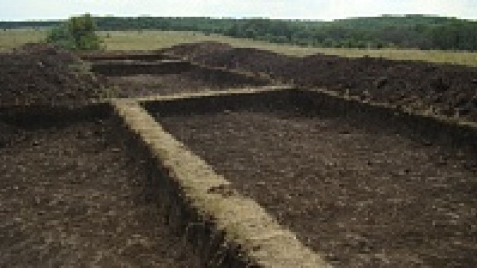 Воронежские археологи приступили к раскопкам древнего городища в Хохольском районе 
