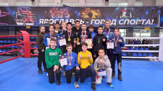 Воронежские кикбоксеры привезли с Чемпионата и Первенства ЦФО 12 медалей