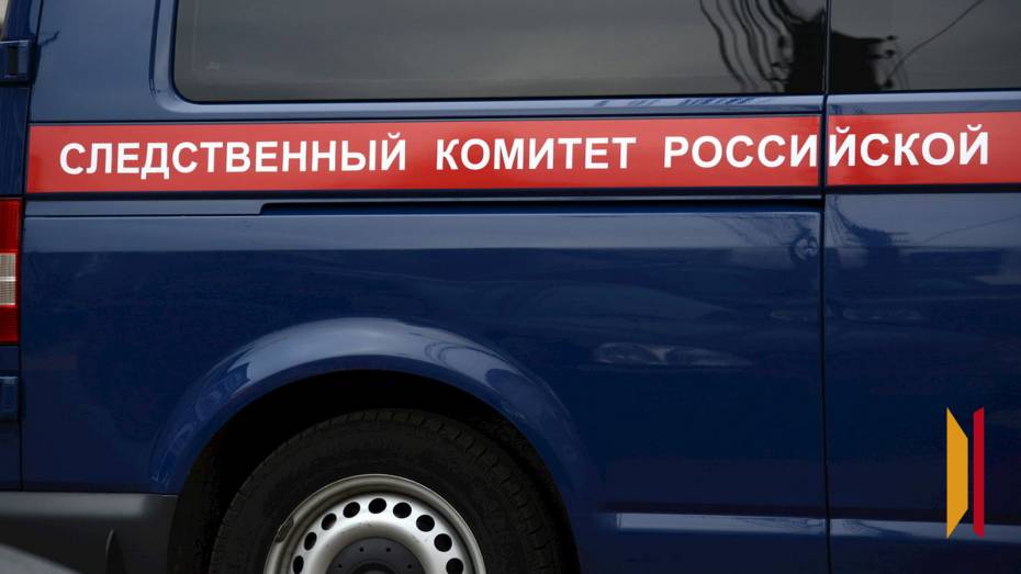 В Воронеже 7‑летняя девочка лишилась части пальца из‑за падения деревянной фигуры на детской площадке
